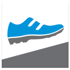 Moderate
