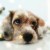 dorindakyq