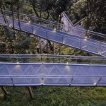 Elevated_Walkway_of_the_Forest_Walk,_Southern_Ridges,_Singapore_-_20081129-01