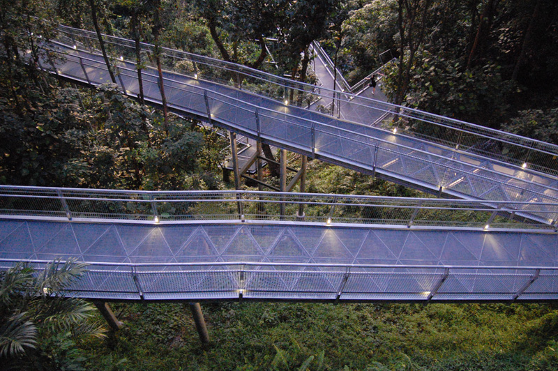 Forest Walk elevated walkway. 