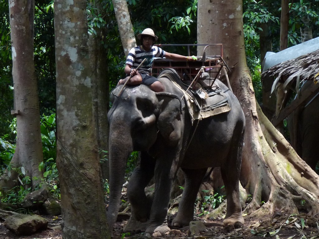 elephant_trekking_Éclusette