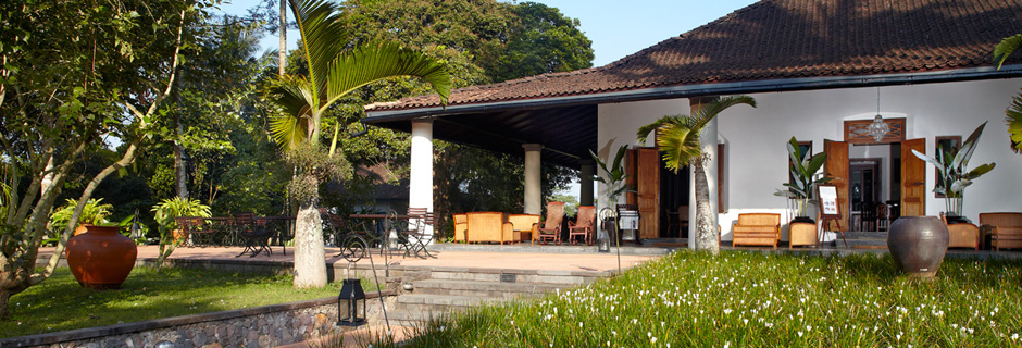Image credit: Mesa Hotels and Resorts