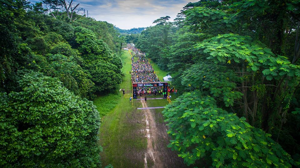 Credit : Lim Boon Tiong (Bird's Eye View)