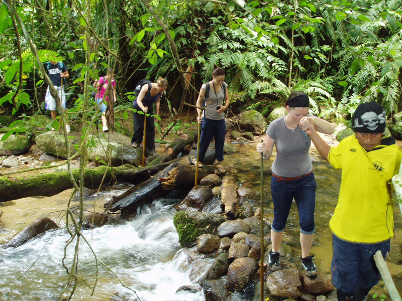 Photo Credit: Cameron Highlands