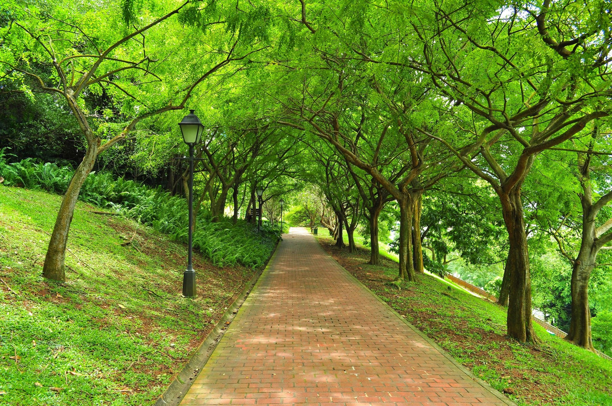 Fort Canning Park, Singapore