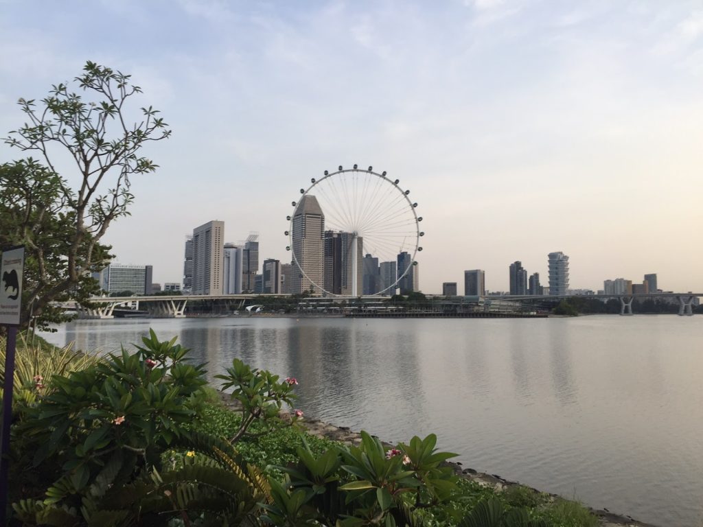 The Singapore Flyer. Except That It Doesn't Fly