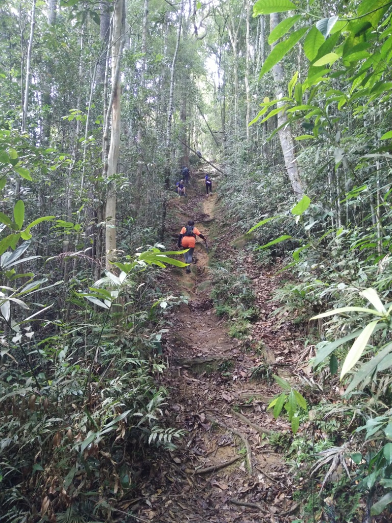 Another climb