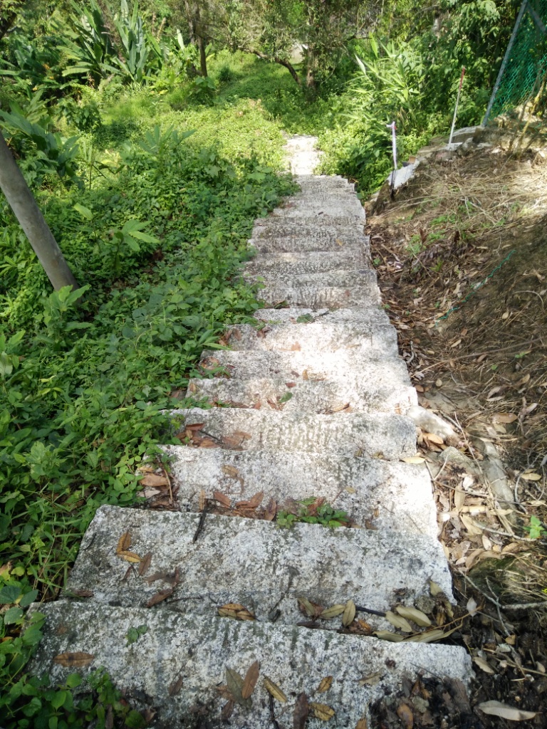Deadly 1200 steps