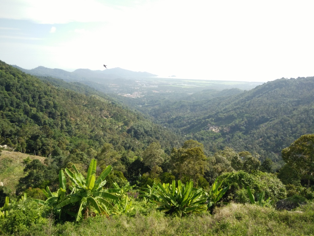 Magnificent view