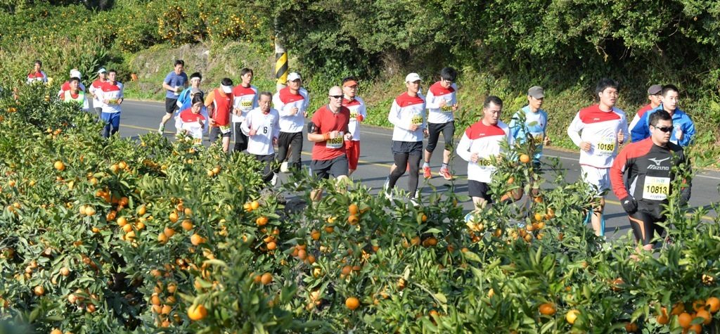 jeju-mandarin-marathon-1024x475