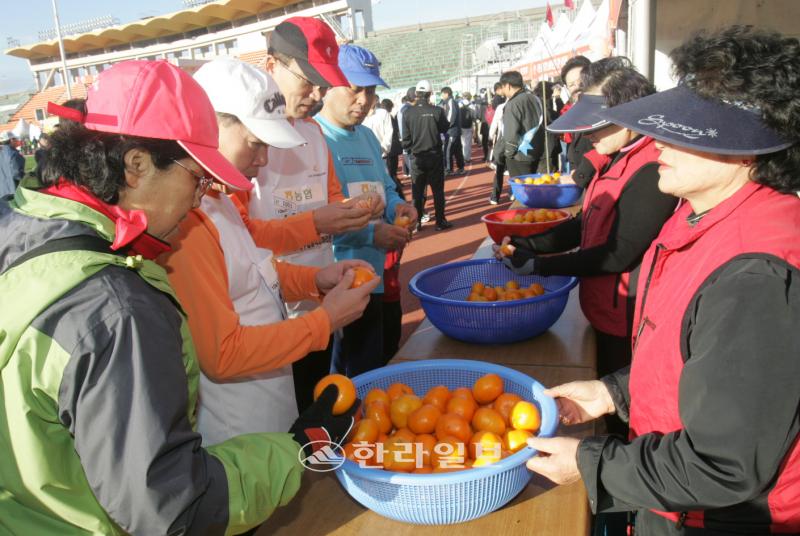 jeju2