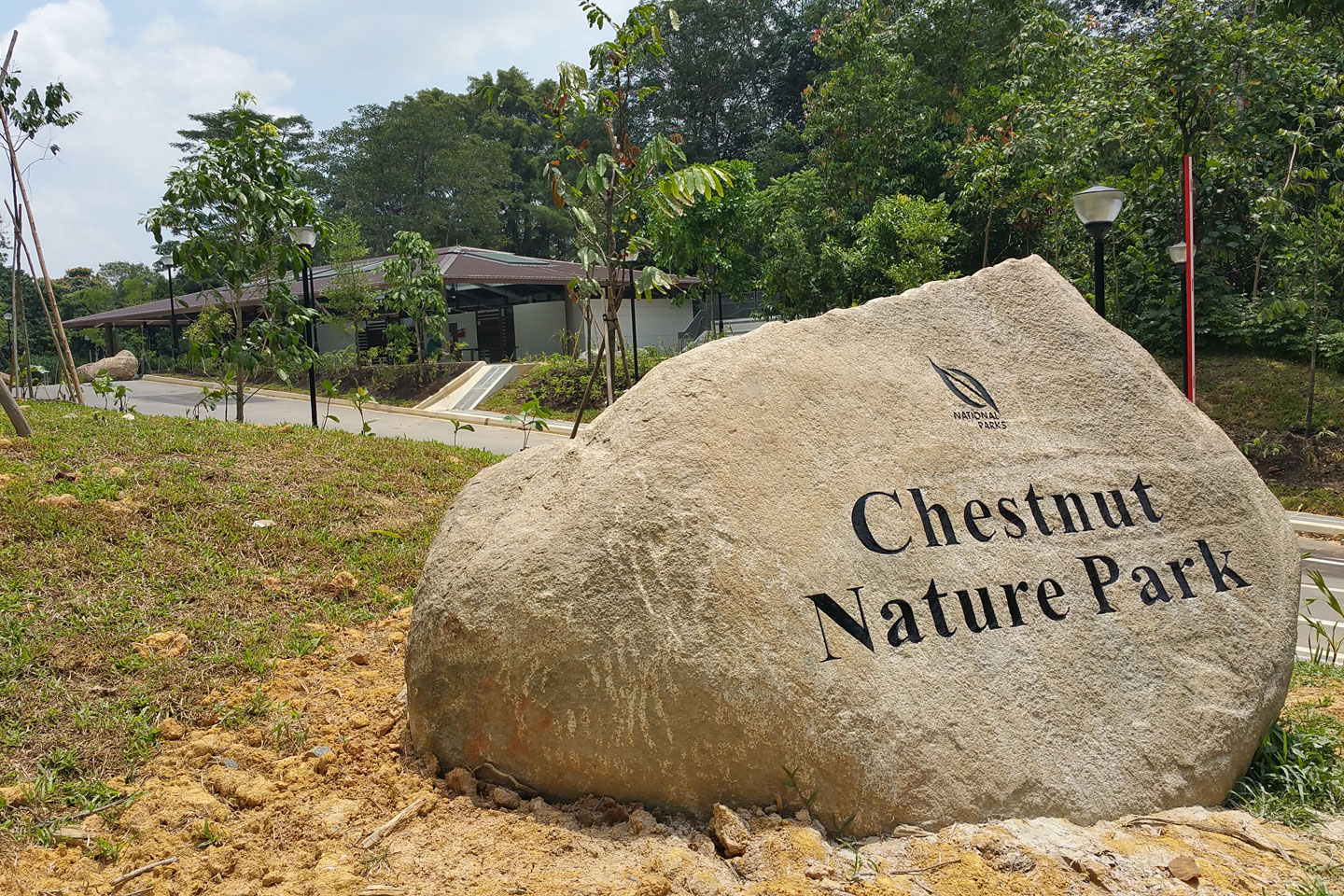 Photo credit: www.nparks.gov.sg