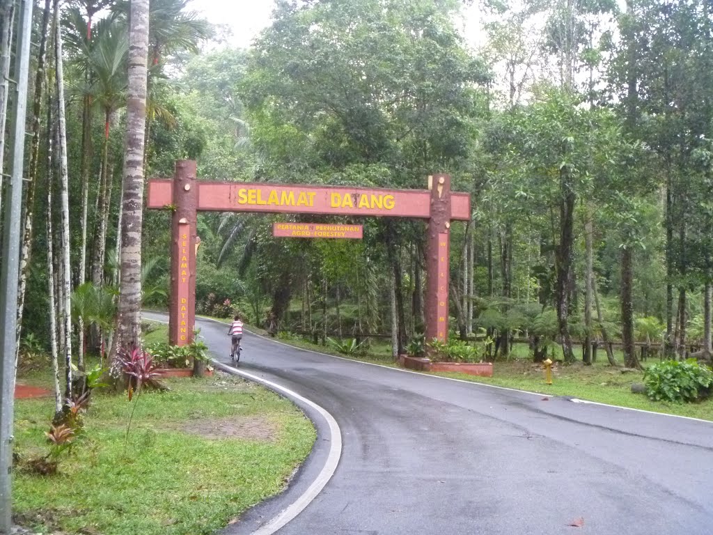 Taman Botani Negara Justrunlah