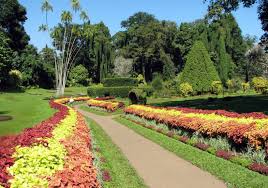 Penang Botanical Gardens Justrunlah