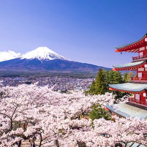 5 Local Foods To Try When You Are In Japan For Your Next Race