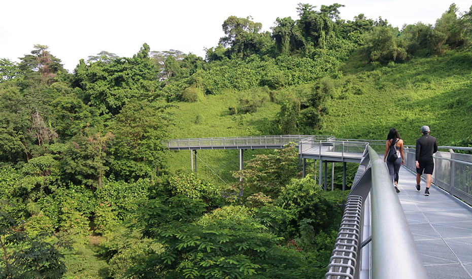 New Parks In Singapore To Get Some Running Done | Just Run Lah!