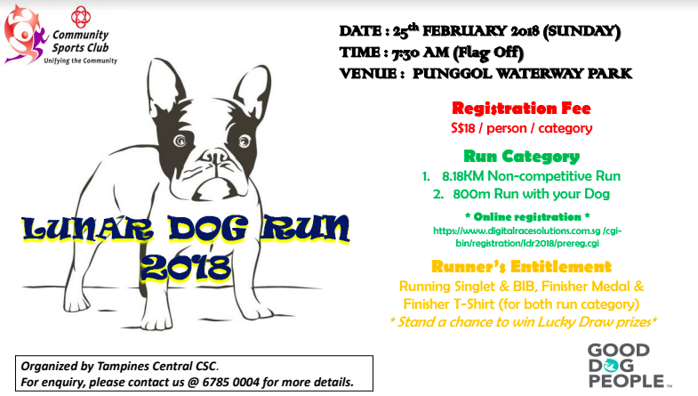 Dog run 2018 2025