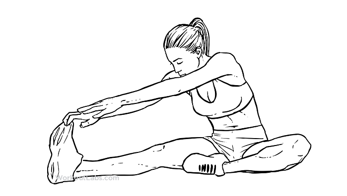 Leg online reach stretch