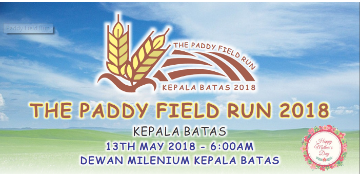 The Paddy Field Run 2018
