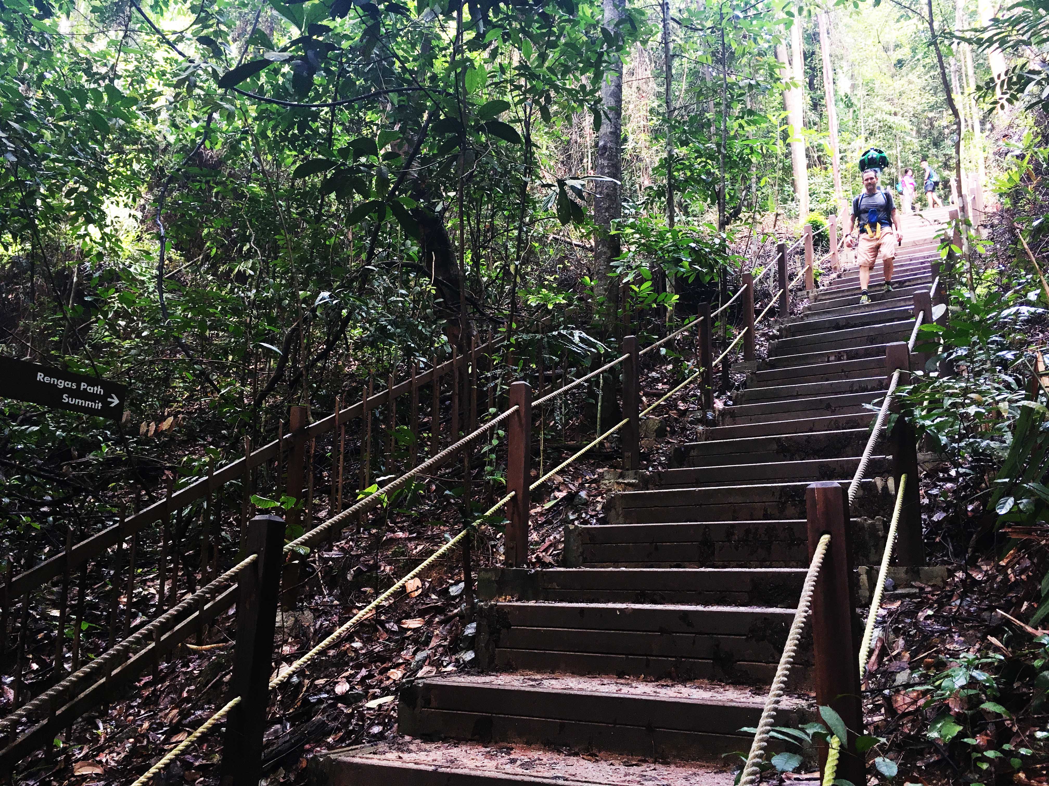 Bukit Timah Reserve: 5 Things To JustRunLah!
