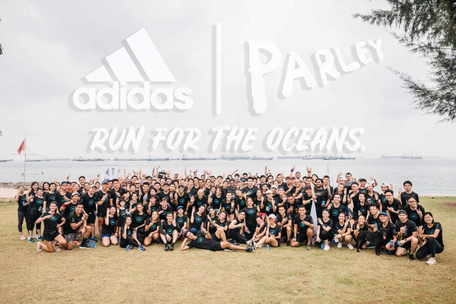 run for the oceans 2018