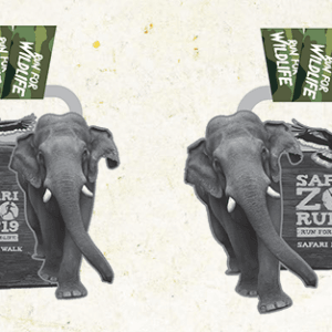 Safari Zoo Run 2019