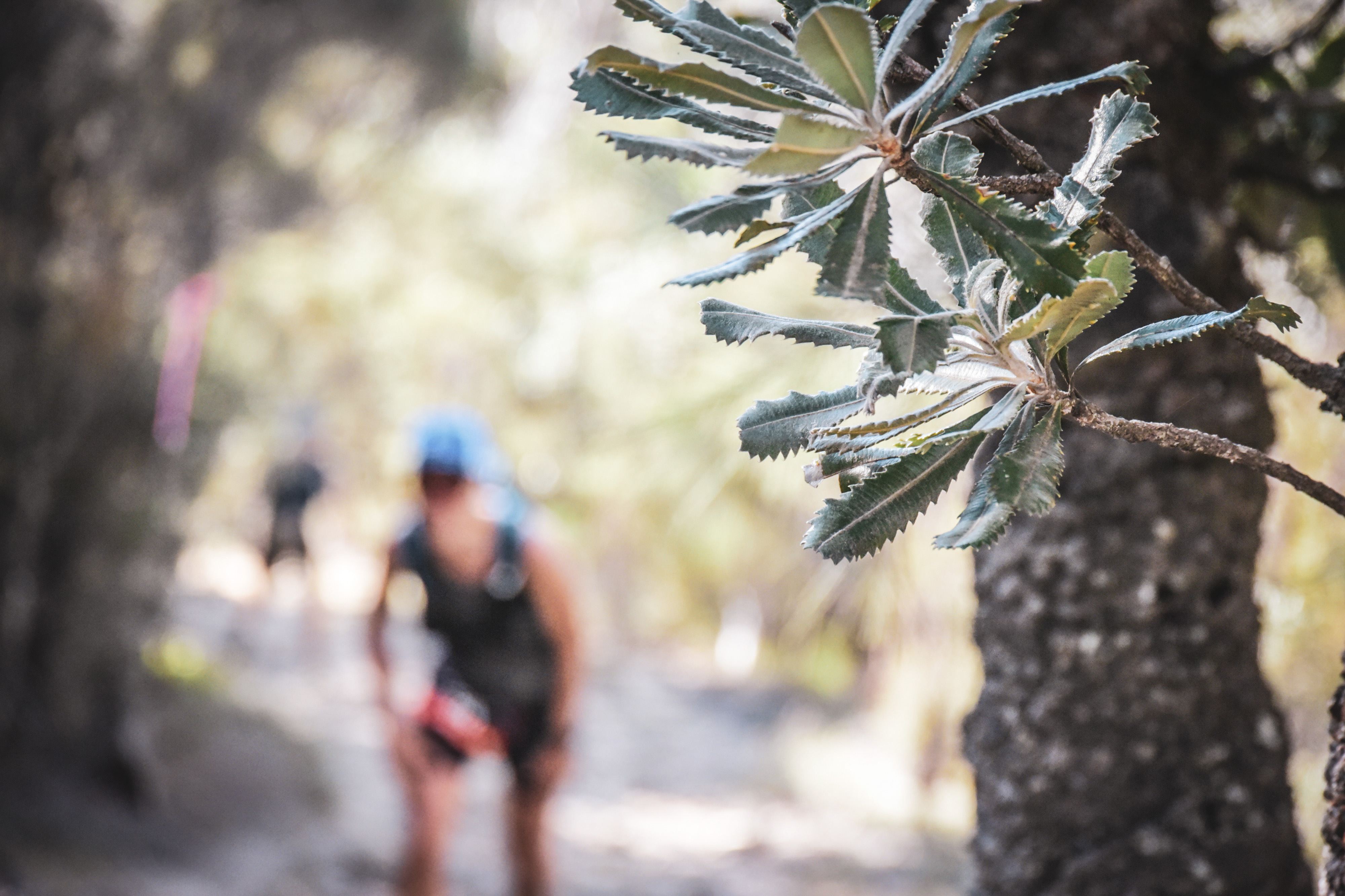 Ultra-Trail Australia 2019. Image: Sportograft.