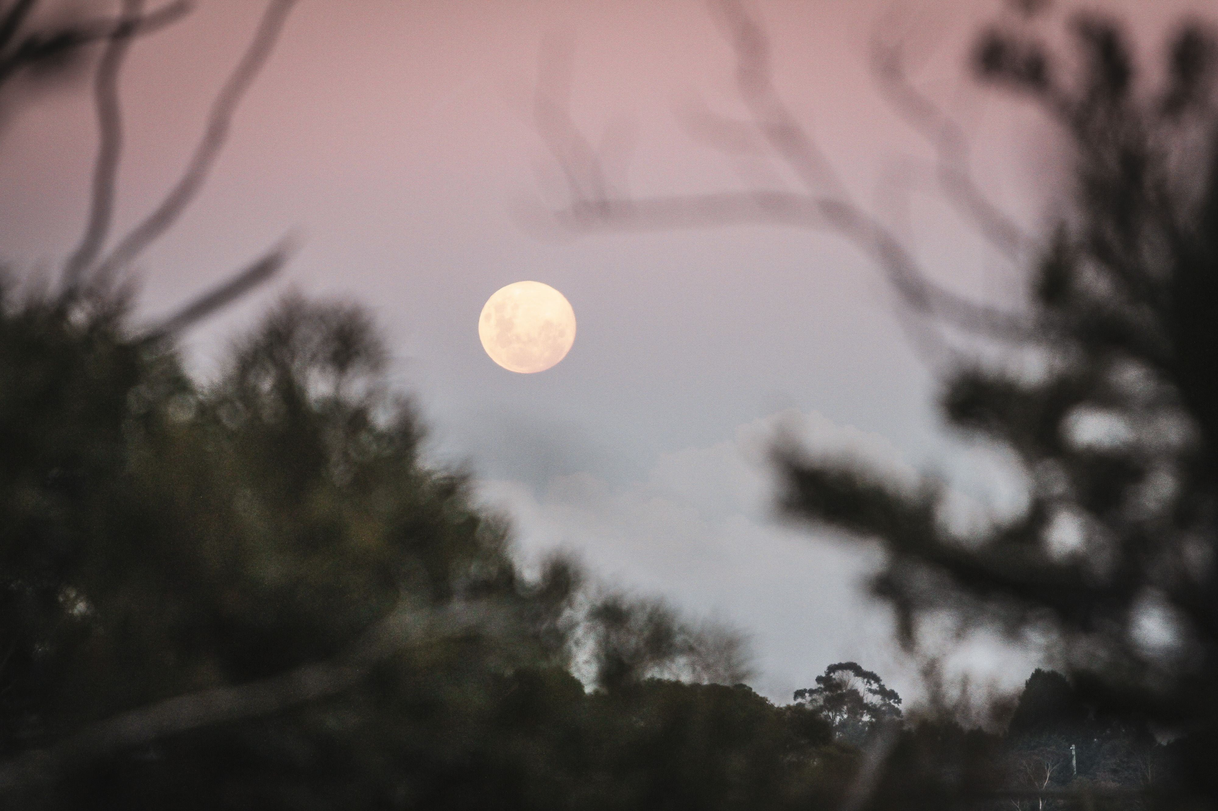 Evening at Ultra-Trail Australia 2019. Image: Sportograft.