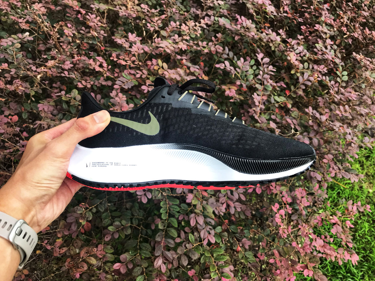 nike air zoom pegasus 37 singapore