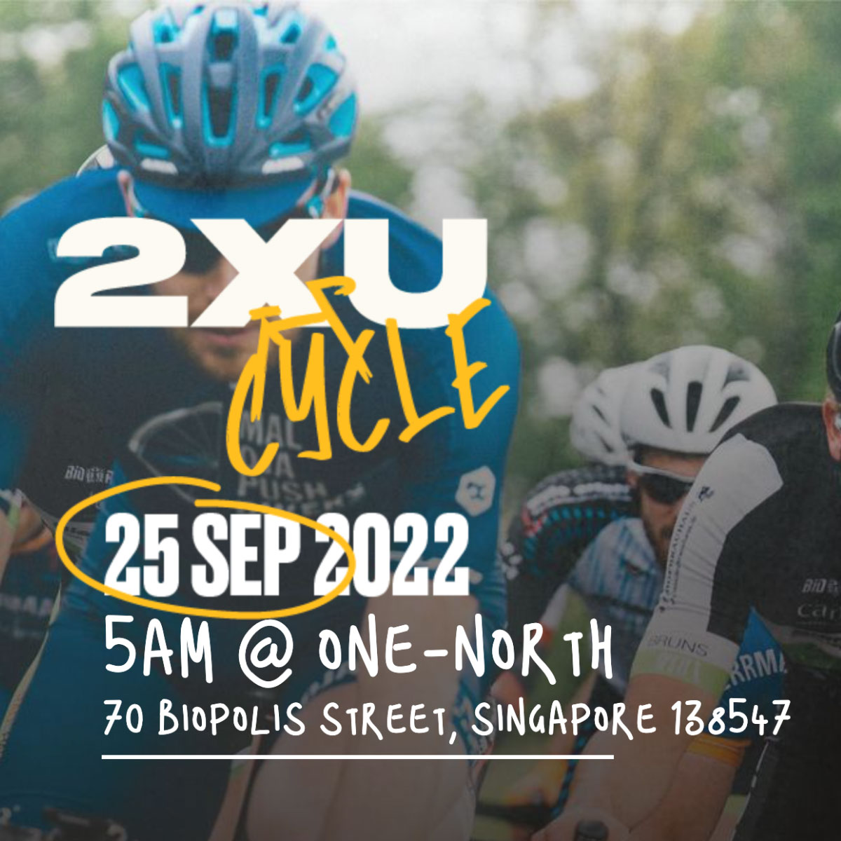 2xu cycling cheap