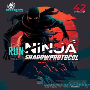 Ninja Virtual Challenge 2025 – Shadow Protocol 42K