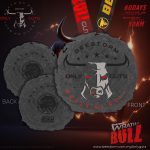 BullVR26-medal