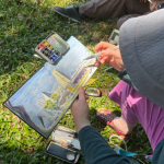 TheKallang-Jan2026-sketchwalk