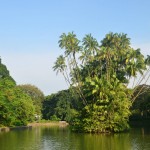 10497428_10152261502693041_7881889074041966730_o