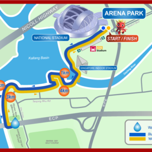 Dragon Soars, Fortune Roars: Prosperity Run 2024