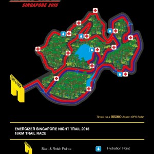 Energizer Night Race Singapore 2015