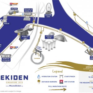 Mizuno Ekiden Singapore 2015