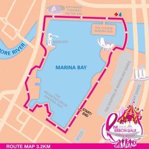 Pink Ribbon Walk 2015