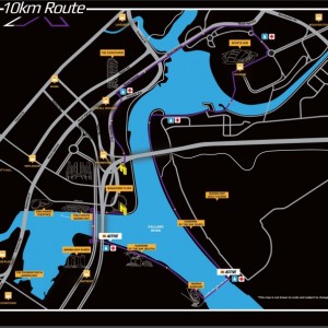 2XU Compression Run 2016