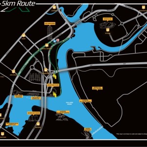 2XU Compression Run 2016